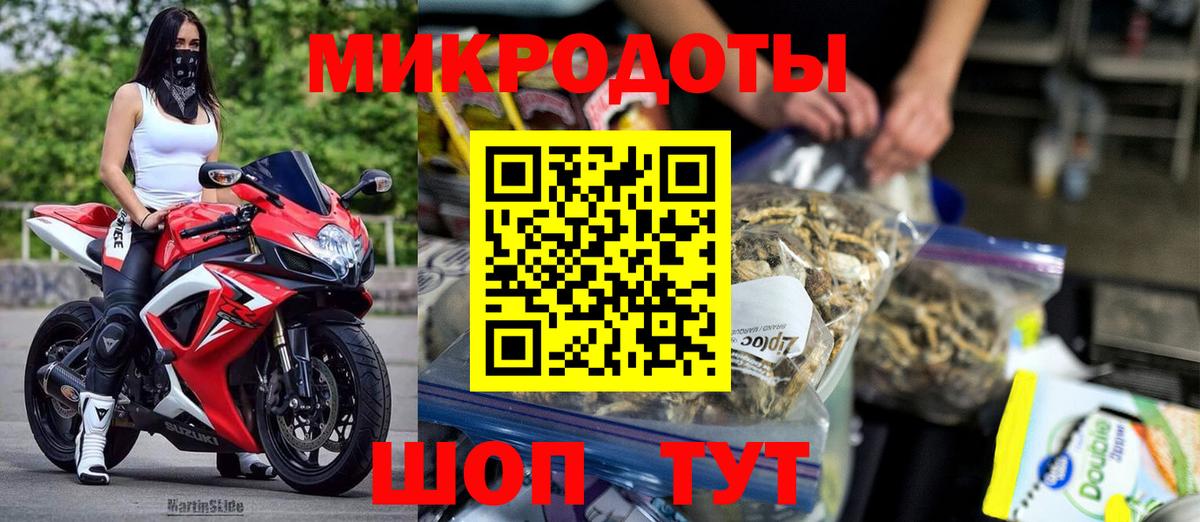 Псилоцибиновые грибы Psilocybe Белореченск