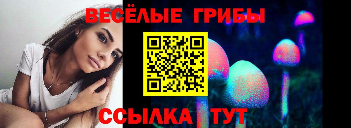 Псилоцибиновые грибы мицелий  Галлюциногенные грибы прущие грибы  Вход с VPN  Белореченск 